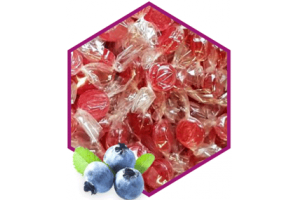 PASTILLEN HEIDELBEERE OHNE ZUCKER 50G