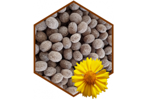 DROPS PROPOLIS PUR 50G