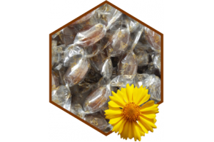 PASTILLEN PROPOLIS PUR 50G