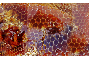 Wabenhonig