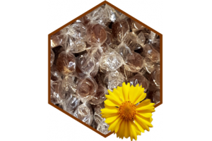 PASTILLEN PROPOLIS PUR OHNE ZUCKER 50G